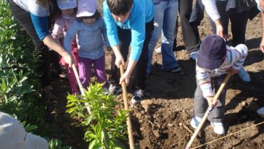Quinta Pedagógica de Portimão - Arquivo CMP_Filipe da Palma