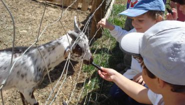 Quinta Pedagógica de Portimão - Arquivo CMP_Filipe da Palma