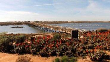 quinta do lago