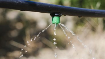 irrigation|Gardening. Lawn sprinkler spraying water over grass.|Closeup shot of water flowing from a metal faucet|Drip irrigation system