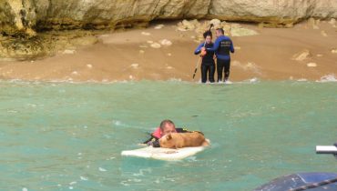 Resgate de cão em Lagoa