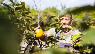 Revista Dois Agricultura_Flávio Costa (5)