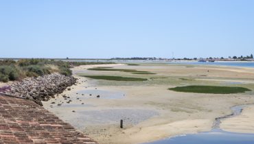 Ria formosa Quinta de Marim algarve_bc-35|SRF-folhetoINTERIOR - programa