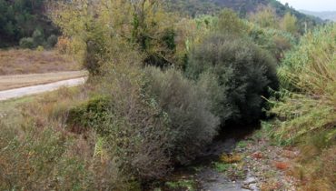 Ribeira das Cercas 1