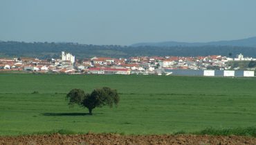 Sul Informação