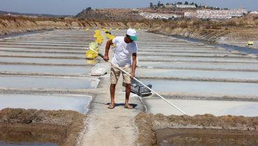 Salinas de Castro Marim
