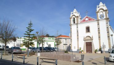 Santo Estêvão|Xylella-fastidiosa-1508x706_c