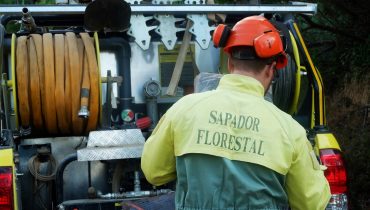 Sapadores Florestais (2)