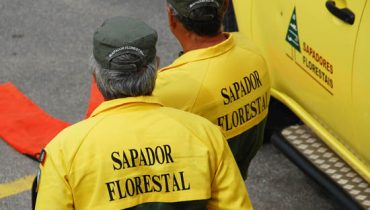 sapadores florestais_2
