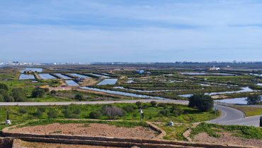 Sapal de Castro Marim e VRSA_01
