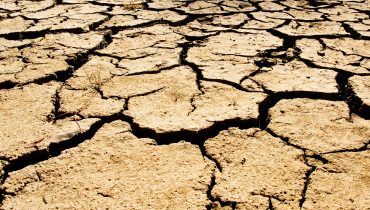 Drought