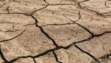 View of cracked ground surface on sunny day
