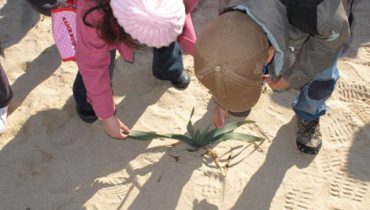 Sensibilização e educação ambiental