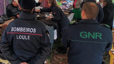 Sensibilização incêndios (2)