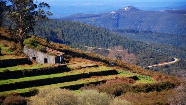 Serra de Monchique_er_03