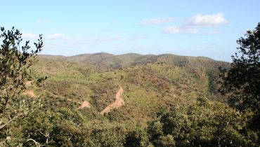 Serra_do_Caldeirao_Sao_Bras_Alportel|Votacoes_OP_2025