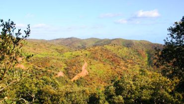 Serra do Caldeirão_São Brás Alportel