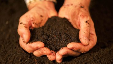Solo agricola_Depositphotos_152889944_L|Seminário Solos - FDM (2)|Man farmer holding soil. Earth day and ecology concept|Hands covered with earth. Dirty hands of a working Farmer - corns on the palms in abrasions. hard work concept|Einsamer Baum in Ödnis|Solo_desertificacao_alentejo_agricultura alentejana_Depositphotos_226156990_L