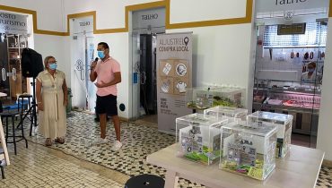 Sorteio Aljustrel compra local
