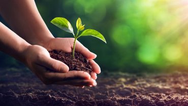 Sustentabilidade_Depositphotos_244188074_L|Eco-Friendly Living: Small Steps Towards a Sustainable Future