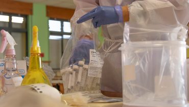 Testes covid coronavirus preescolar olhao (4)