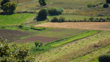 Varzea de Aljezur_agricultura tradicional_er_03