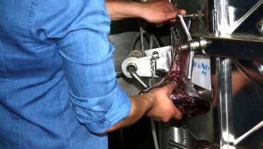 Vinhos do Algarve Press Tour CVA 2016_17|Vinhos do Algarve Press Tour CVA 2016_7|Vinhos do Algarve Press Tour CVA 2016_8|Vinhos do Algarve Press Tour CVA 2016_9|Vinhos do Algarve Press Tour CVA 2016_10|Vinhos do Algarve Press Tour CVA 2016_11|Vinhos do Algarve Press Tour CVA 2016_12|Vinhos do Algarve Press Tour CVA 2016_13|Vinhos do Algarve Press Tour CVA 2016_14|Vinhos do Algarve Press Tour CVA 2016_15|Vinhos do Algarve Press Tour CVA 2016_16|Vinhos do Algarve Press Tour CVA 2016_18|Vinhos do Algarve Press Tour CVA 2016_19|Vinhos do Algarve Press Tour CVA 2016_20|Vinhos do Algarve Press Tour CVA 2016_21|Vinhos do Algarve Press Tour CVA 2016_22|Vinhos do Algarve Press Tour CVA 2016_23|Vinhos do Algarve Press Tour CVA 2016_24|Vinhos do Algarve Press Tour CVA 2016_25|Vinhos do Algarve Press Tour CVA 2016_26|Vinhos do Algarve Press Tour CVA 2016_27|Vinhos do Algarve Press Tour CVA 2016_28|Vinhos do Algarve Press Tour CVA 2016_29|Vinhos do Algarve Press Tour CVA 2016_30|Vinhos do Algarve Press Tour CVA 2016_31|Vinhos do Algarve Press Tour CVA 2016_32|Vinhos do Algarve Press Tour CVA 2016_33|Vinhos do Algarve Press Tour CVA 2016_34|Vinhos do Algarve Press Tour CVA 2016_35|José Manuel Cabrita_Quinta da Vinha|Vinhos do Algarve Press Tour CVA 2016_2|Vinhos do Algarve Press Tour CVA 2016_3|Vinhos do Algarve Press Tour CVA 2016_4|Vinhos do Algarve Press Tour CVA 2016_5|Vinhos do Algarve Press Tour CVA 2016_6|Vinhos do Algarve Press Tour CVA 2016_1
