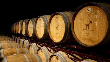 Vinhos do Algarve Press Tour CVA 2016_19|biel ballester trio