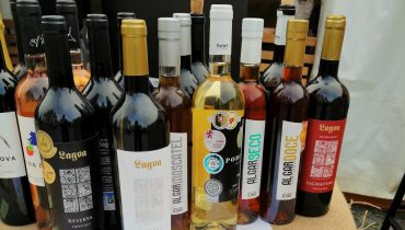 Vinhos do Algarve em Paris_1|Vinhos do Algarve em Paris_2