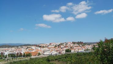 Vista geral de silves