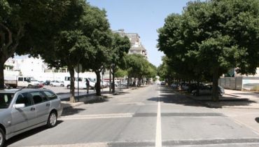 Vista parcial da Avª. S. João de Deus - Arquivo CMP_Filipe da Palma