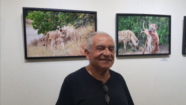 Vítor azevedo vida selvagem emarp (1)|Vítor azevedo vida selvagem emarp (3)|Vítor azevedo vida selvagem emarp (2)