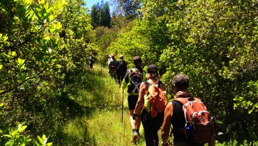 Walking Festival Caminhadas 2017_João Ministro (9)