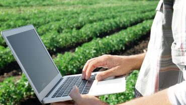 Farmer using laptop in field