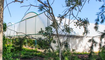 agricultura estufas_PL-23