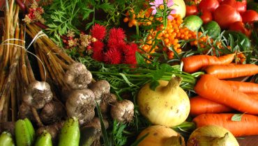 agricultura produtos locais