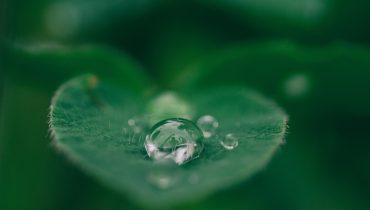 agua_aaron-burden-dXYE1d08BiY-unsplash (2)|5.º Fartoon