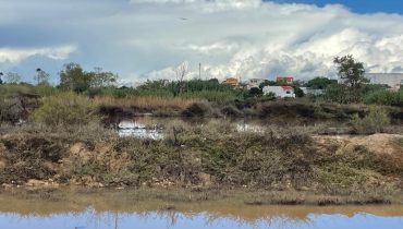 alagoas brancas apos chuvas_3|alagoas brancas apos chuvas_1|alagoas brancas apos chuvas_2|alagoas brancas apos chuvas_4|alagoas brancas apos chuvas_5|alagoas brancas apos chuvas_6
