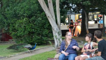alameda beer fest dia 1 2016 (20)