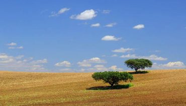alentejo