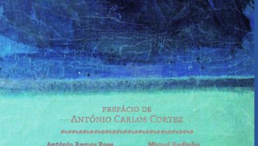 algarve 12 poetas a sul seculo xxi[1]