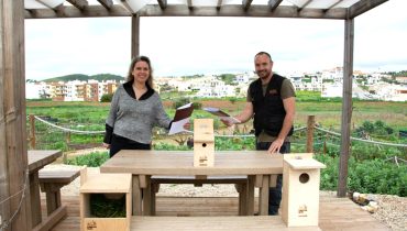 alojamento local para aves silves (1)
