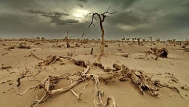 alterações climáticas_1|Pan