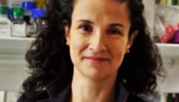 ana teresa maia
