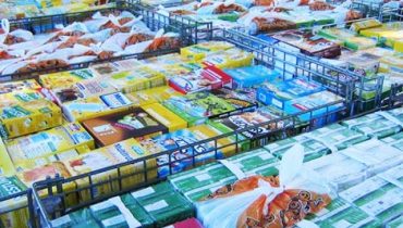 apoio alimentar