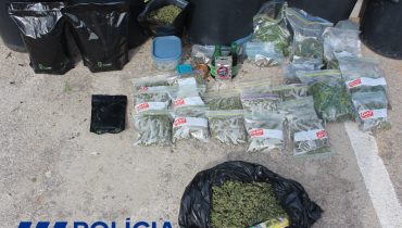 apreensão cannabis Portimão 2|apreensão cannabis Portimão 1