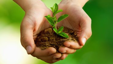 child with plant