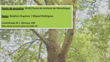 arvores monumentais