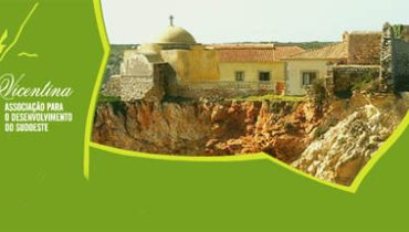 associacao vicentina