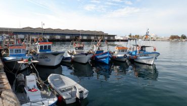 barcos da pesca da ganchorra_porto de olhao_hr_06
